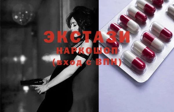 гидра Кодинск