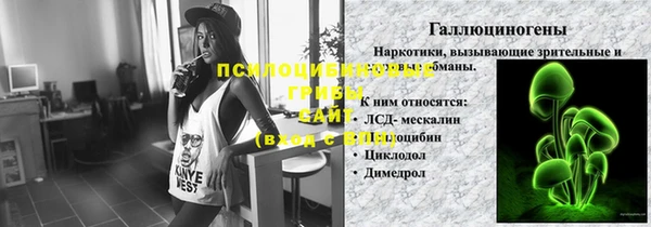 гидра Кодинск