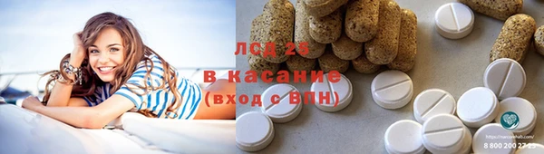 гашик Козельск