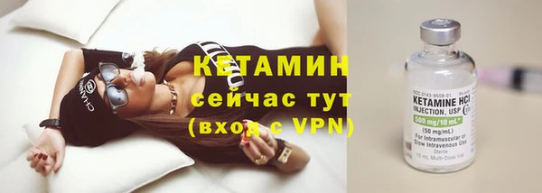 гидра Кодинск