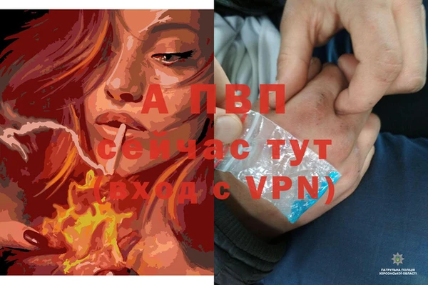 гидра Кодинск