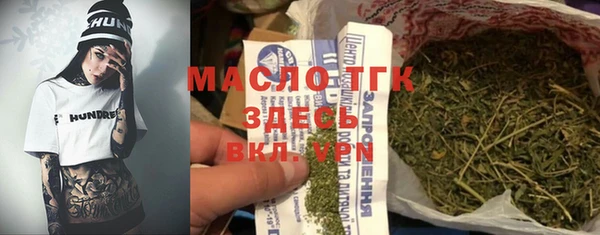 гашик Козельск