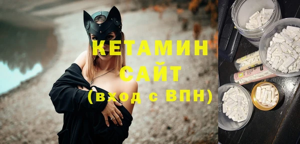 гидра Кодинск
