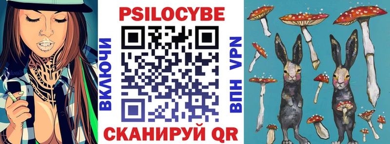 цены   Краснозаводск  Псилоцибиновые грибы MAGIC MUSHROOMS 